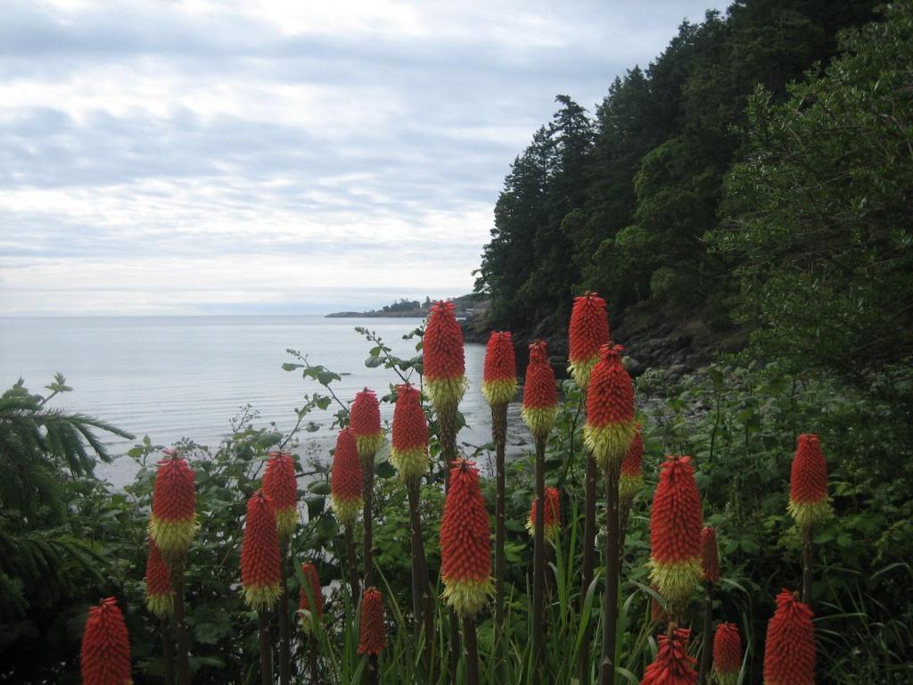The Lodge At Weir'S Beach Metchosin ภายนอก รูปภาพ